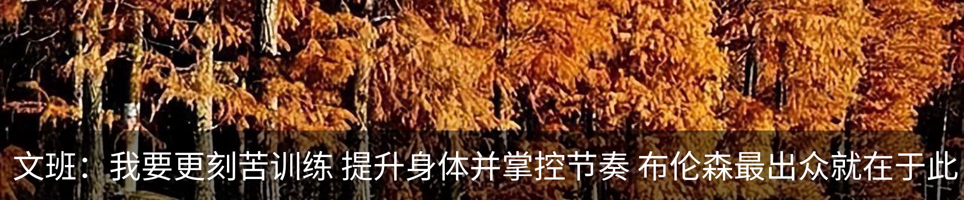 资讯动态